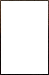 Superstymulowani - Brendborg Nicklas - książka