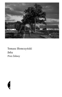 Delta. Przez Żuławy - Słomczyński Tomasz - ebook