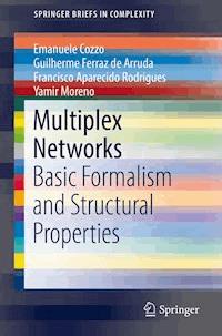Multiplex Networks - Emanuele Cozzo - ebook