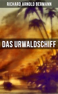 Das Urwaldschiff - Richard Arnold Bermann - ebook