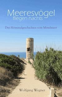 Meeresvögel fliegen nachts - Wolfgang Wegner - ebook