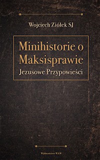 Minihistorie o maksisprawie - Ziółek Wojciech - książka