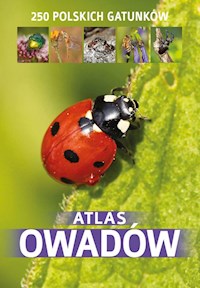 Atlas owadów - Twardowska Kamila, Twardowski Jacek - książka