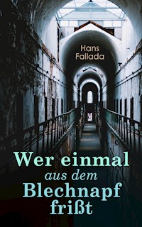 Wer einmal aus dem Blechnapf frißt - Hans Fallada - ebook