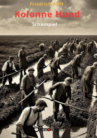 Kolonne Hund - Wolf Friedrich - ebook