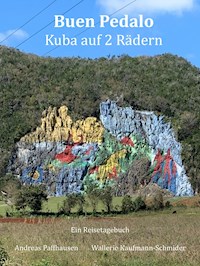 Buen Pedalo - Andreas Dr. Paffhausen - ebook