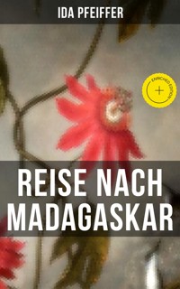 Reise nach Madagaskar - Ida Pfeiffer - ebook