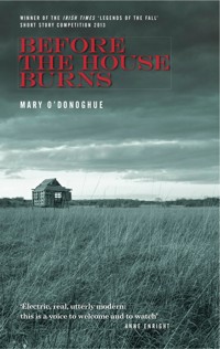 Before The House Burns - Mary O'Donoghue - ebook