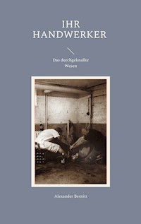 Ihr Handwerker - Das durchgeknallte Wesen - Alexander Bernitt - ebook