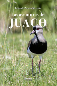 Las aventuras de Juaco - Edmundo Patricio Silva Soto - ebook