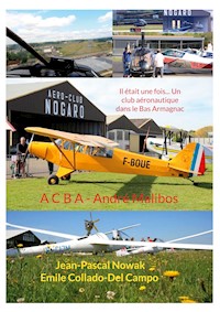 Il était une fois... Un club aéronautique dans le Bas Armagnac - Emile Collado-Del Campo - ebook