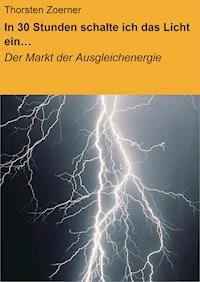 In 30 Stunden schalte ich das Licht ein… - Thorsten Zoerner - ebook