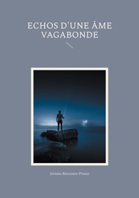 Echos d'une âme vagabonde - Jérôme Boissinot-Pintas - ebook