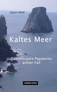 Kaltes Meer - Hold Ignaz - ebook
