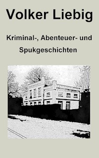 Kriminal-, Abenteuer- und Spukgeschichten - Volker Liebig - ebook