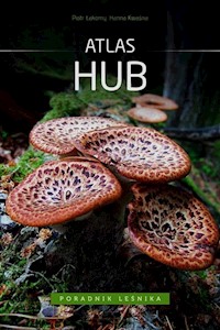 Atlas hub - Łakomy Piotr, Kwaśna Hanna - książka
