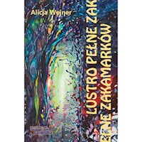 Lustro pełne zakamarków - Wejner Alicja - ebook + książka