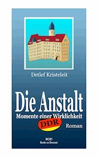 Die Anstalt - Detlef Kristeleit - ebook