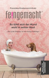 Feingemacht - Franziska Knabenreich-Kratz - ebook