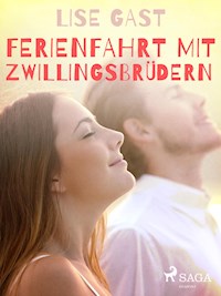 Ferienfahrt mit Zwillingsbrüdern - lise  gast  - ebook