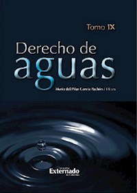 Derecho de Aguas. Tomo IX - Gloria Lucía Álvarez Pinzón - ebook