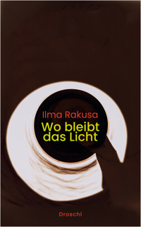 Wo bleibt das Licht - Ilma Rakusa - ebook
