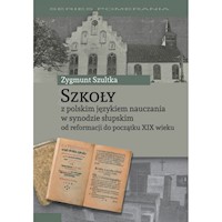 Szkoły z polskim językiem nauczania w synodzie słupskim od reformacji do początku XIX wieku - Szultka Zygmunt - książka