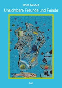 Unsichtbare Freunde und Feinde - Boris Revout - ebook