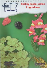 Logico Piccolo Rośliny leśne polne i ogrodowe Edukacja elementarna -  - książka