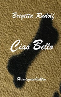 Ciao Bello - Brigitta Rudolf - ebook