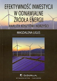 Efektywność inwestycji w odnawialne źródła energii - Ligus Magdalena - książka