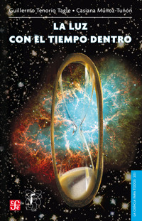 La luz con el tiempo dentro - Guillermo Tenorio Tagle - ebook