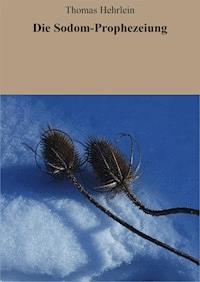 Die Sodom-Prophezeiung - Thomas Hehrlein - ebook
