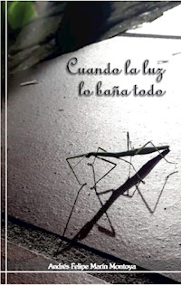 Cuando la luz lo baña todo - Andrés Felipe Marín Montoya - ebook