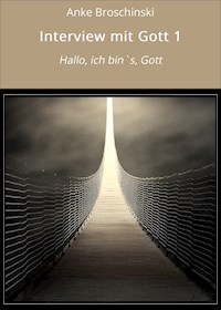 Interview mit Gott 1 - Anke Broschinski - ebook