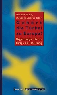Gehört die Türkei zu Europa? -  - darmowy ebook