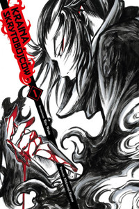 Kraina skrytobójców - Mutsumi Banno, Ryo Wada - książka