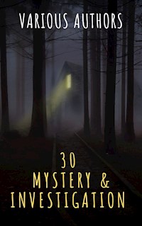 30 Mystery & Investigation masterpieces - Akutagawa Ryunosuke - ebook