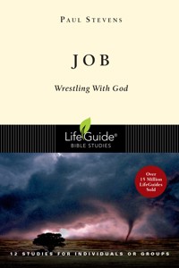 Job - R. Paul Stevens - ebook