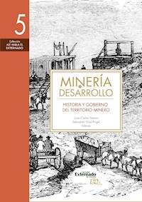 Minería y desarrollo. Tomo 5 - Jaime Arias Restrepo - ebook