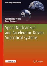 Spent Nuclear Fuel and Accelerator-Driven Subcritical Systems - Vinod Kumar Verma - ebook