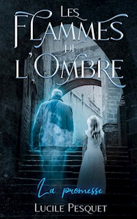 Les Flammes de l'Ombre - Lucile Pesquet - ebook