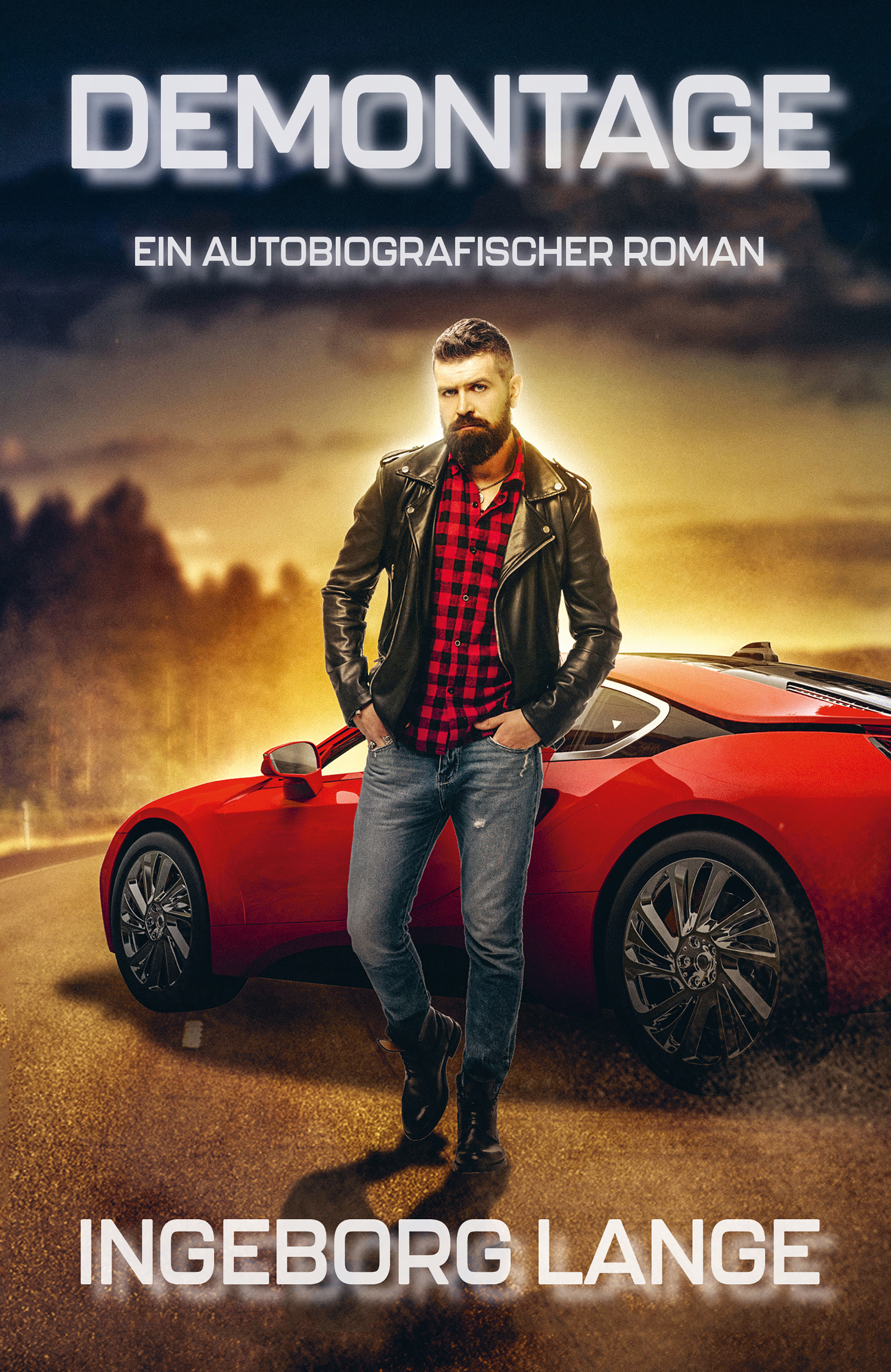 Demontage - Ingeborg Lange - ebook