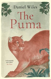 The Puma - Daniel Wiles - ebook