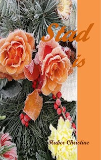 Stad is - Christine Huber - ebook