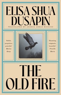 The Old Fire - Elisa Shua Dusapin - ebook