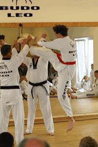 Ratgeber Kampfkunst - BUDO LEO - ebook