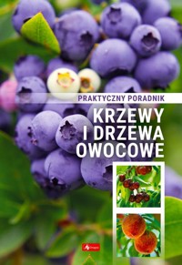 Krzewy i drzewa owocowe Poradnik praktyczny -  - książka