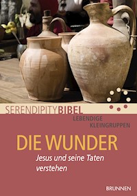 Die Wunder - Serendipity bibel - ebook