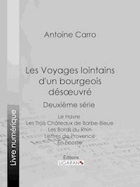 Les Voyages lointains d'un bourgeois désoeuvré - Ligaran - ebook